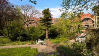 Park in Enkhuizen