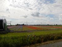 RBG Nordholland 068