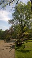Radtour Utrecht - Gouda: die größte Burg der Niederlande Kasteel de Haar