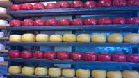 Radtour Utrecht - Gouda: in Gouda im Käseladen