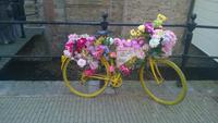 Radtour Utrecht - Gouda: in Gouda
