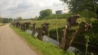 Radtour von Utrecht nach Amsterdam