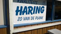 Stadtrundfahrt durch Amsterdam: Fischbrötchen essen