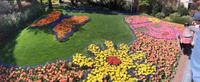 auf dem Keukenhof, Holland
