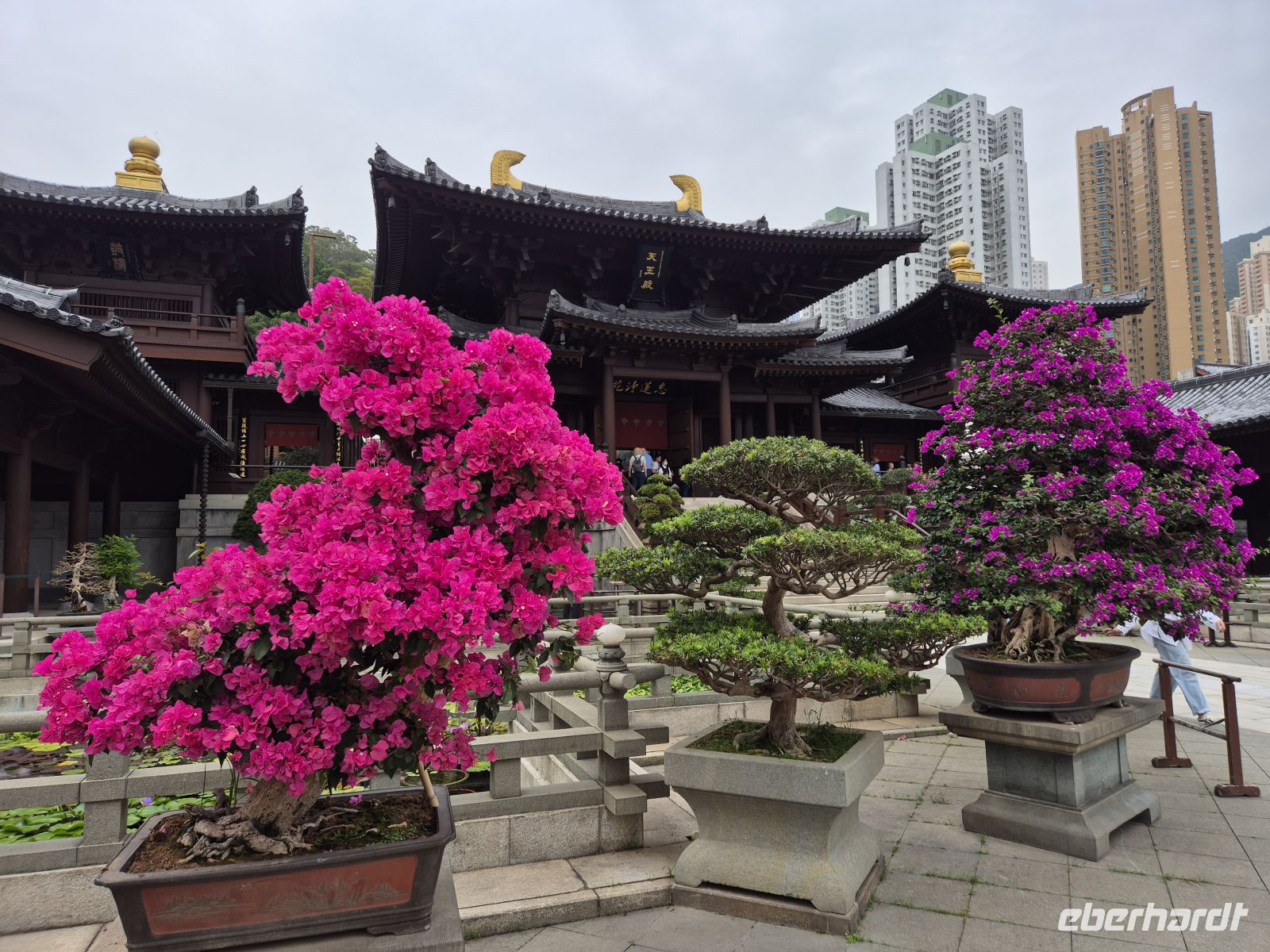 Chi Lin Kloster &ndash; &copy;  (Eberhardt TRAVEL)