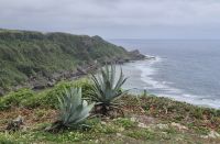 Ausblick vom Peace Memorial Park auf Okinawa &ndash; &copy; Frank Nimschowski (Eberhardt TRAVEL)