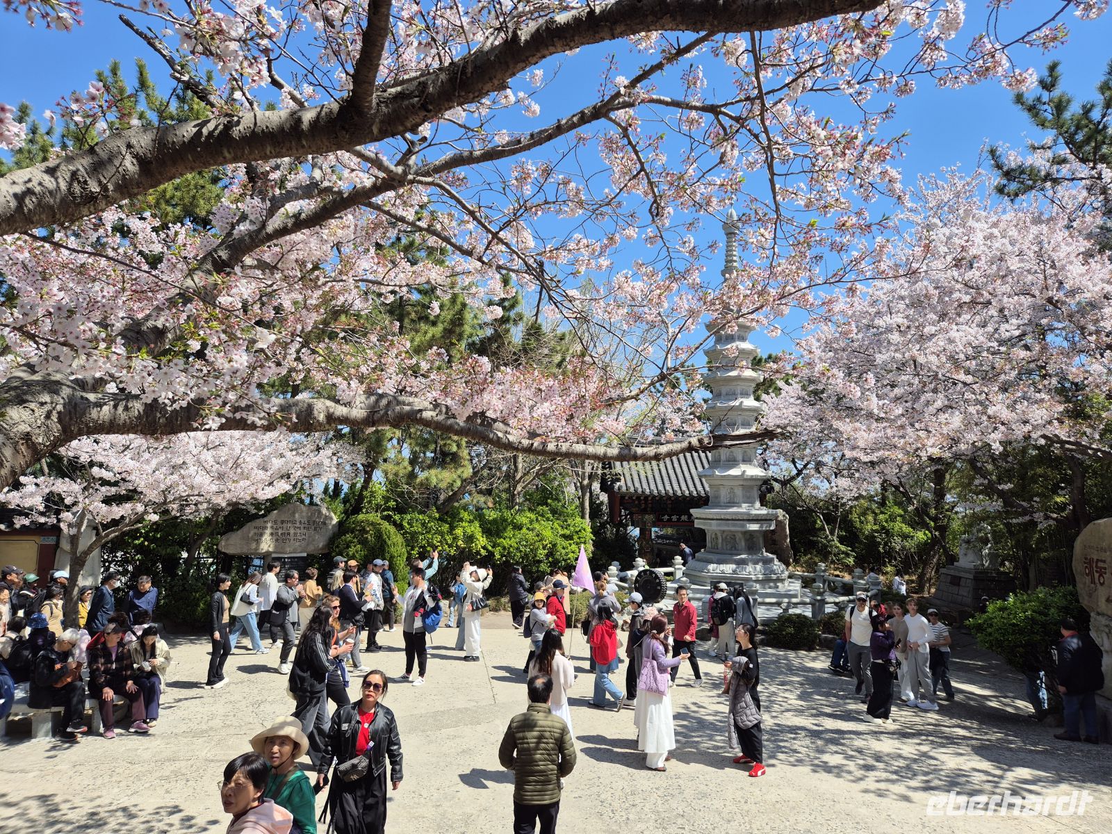 Haedong Yonggungsa-Tempel &ndash; &copy;  (Eberhardt TRAVEL)