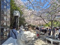 Haedong Yonggungsa-Tempel &ndash; &copy; Frank Nimschowski (Eberhardt TRAVEL)