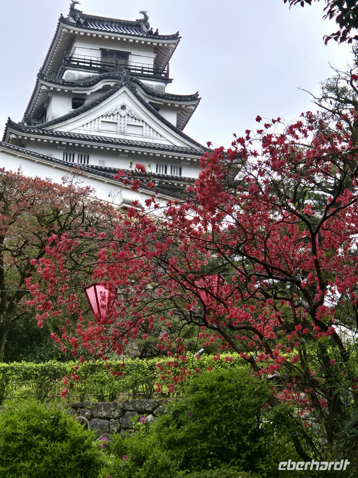 Burg Kochi &ndash; &copy;  (Eberhardt TRAVEL)
