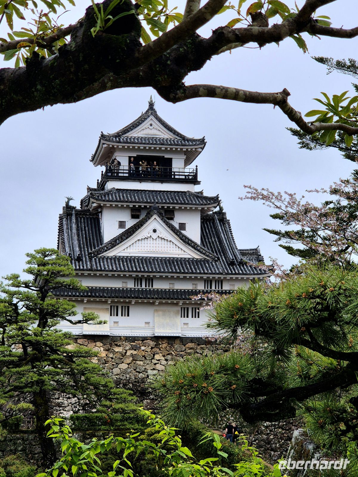 Burg Kochi &ndash; &copy;  (Eberhardt TRAVEL)