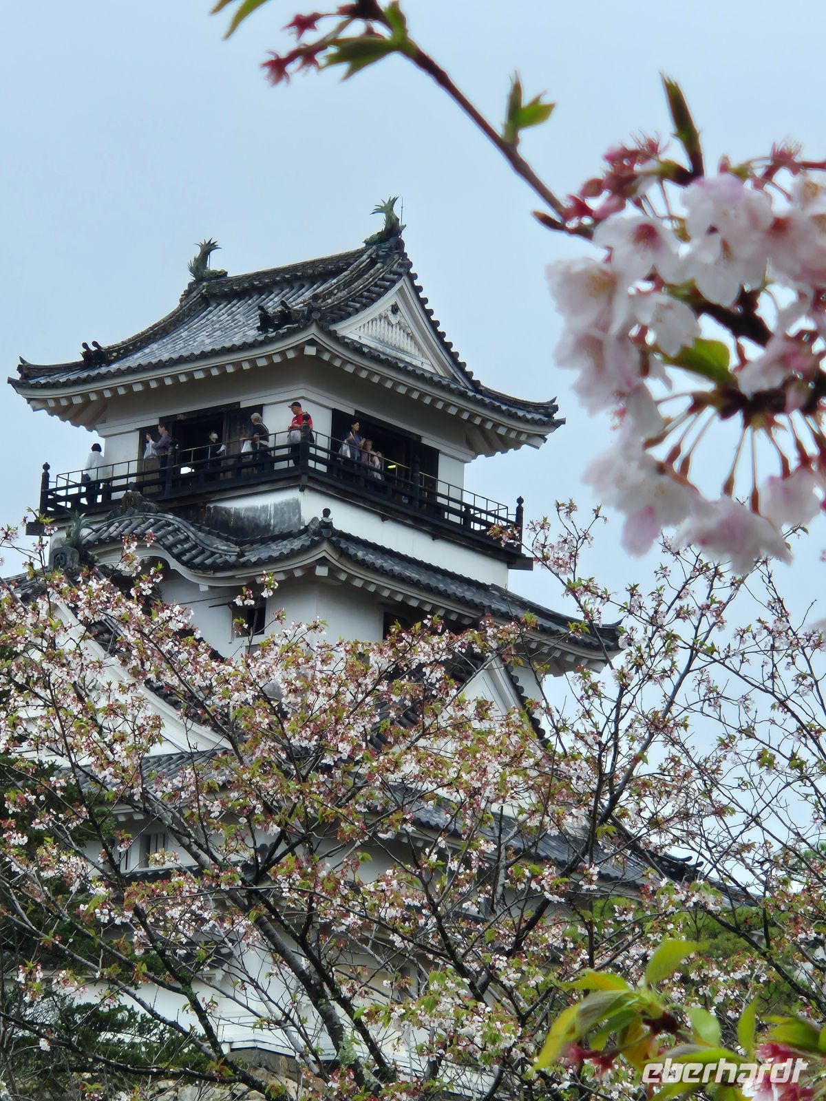 Burg Kochi &ndash; &copy;  (Eberhardt TRAVEL)