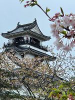 Burg Kochi &ndash; &copy; Frank Nimschowski (Eberhardt TRAVEL)