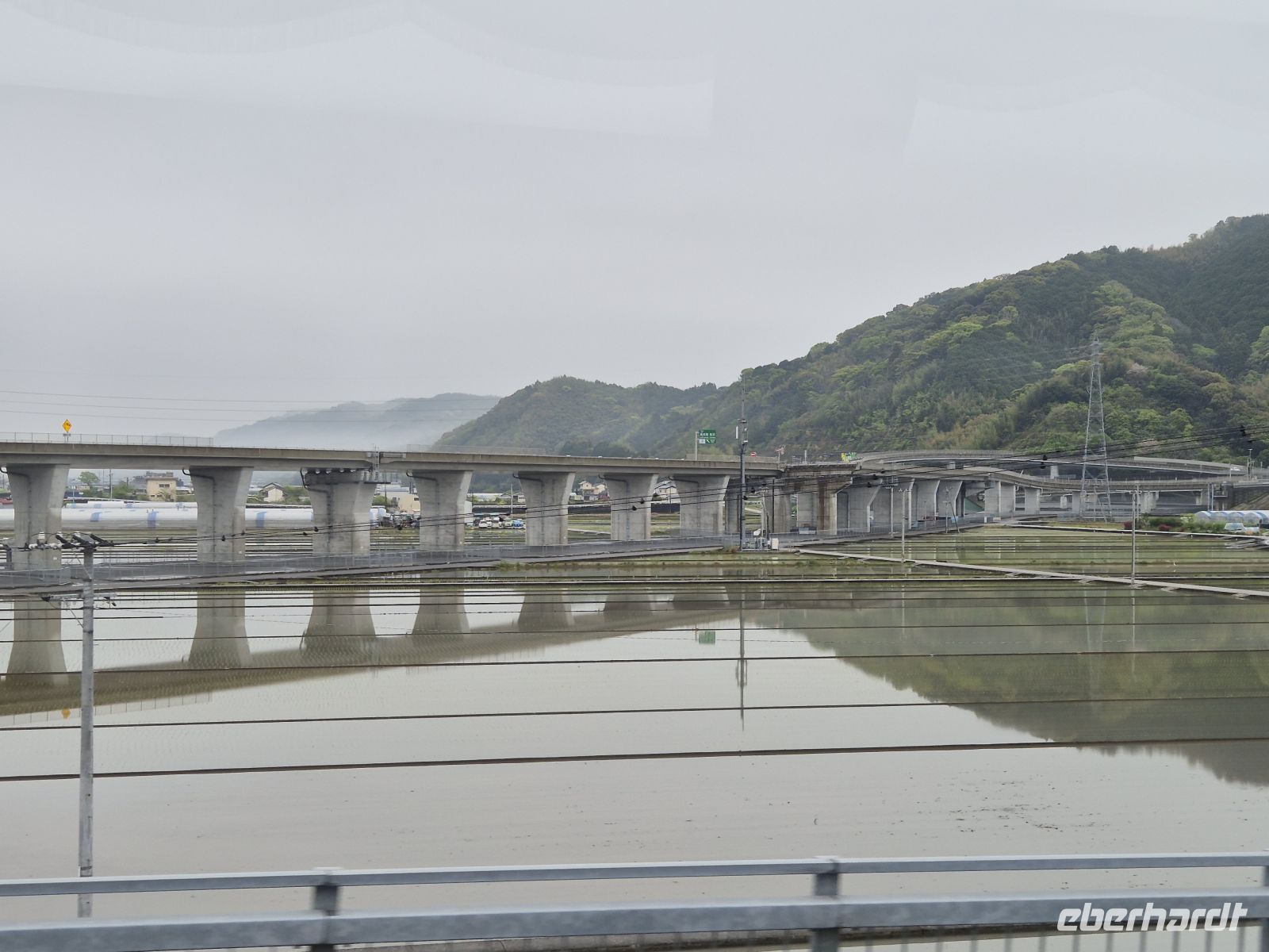 Reisfelder bei Kochi &ndash; &copy;  (Eberhardt TRAVEL)