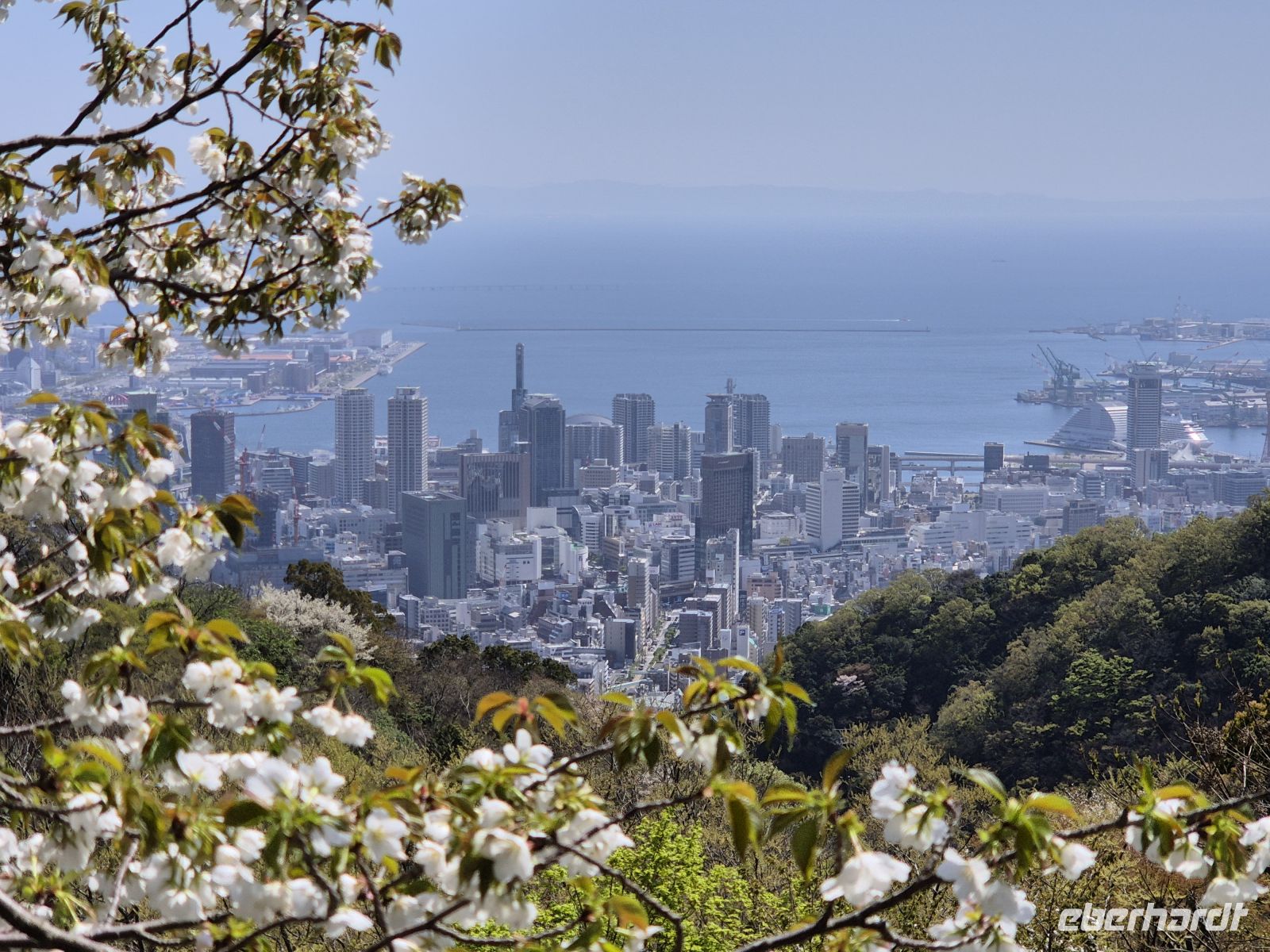 Kobe &ndash; &copy;  (Eberhardt TRAVEL)