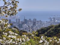 Kobe &ndash; &copy; Frank Nimschowski (Eberhardt TRAVEL)