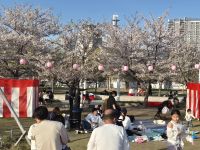 unterwegs in Kobe... &ndash; &copy; Frank Nimschowski (Eberhardt TRAVEL)