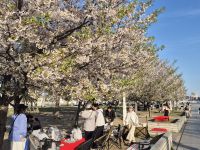 unterwegs in Kobe... &ndash; &copy; Frank Nimschowski (Eberhardt TRAVEL)