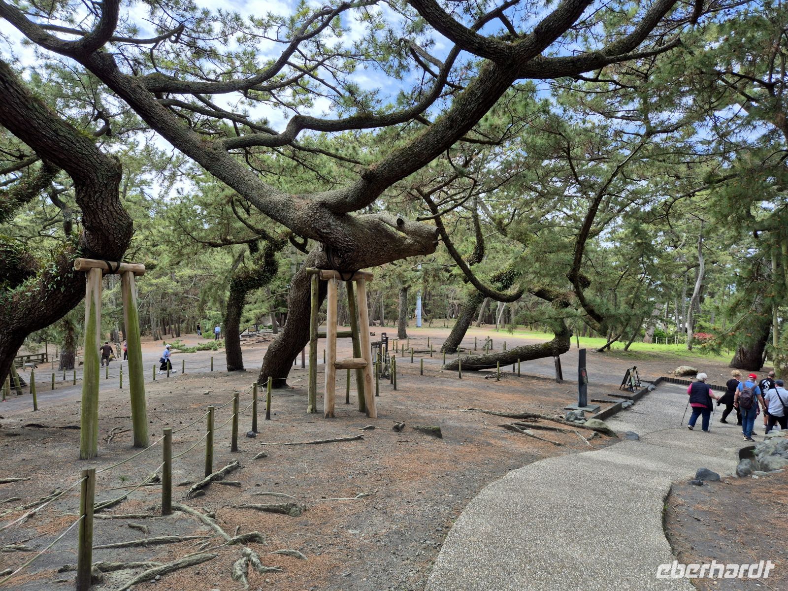Shimizu, Ausflug...Pinienwald Miho no Matsubara &ndash; &copy;  (Eberhardt TRAVEL)