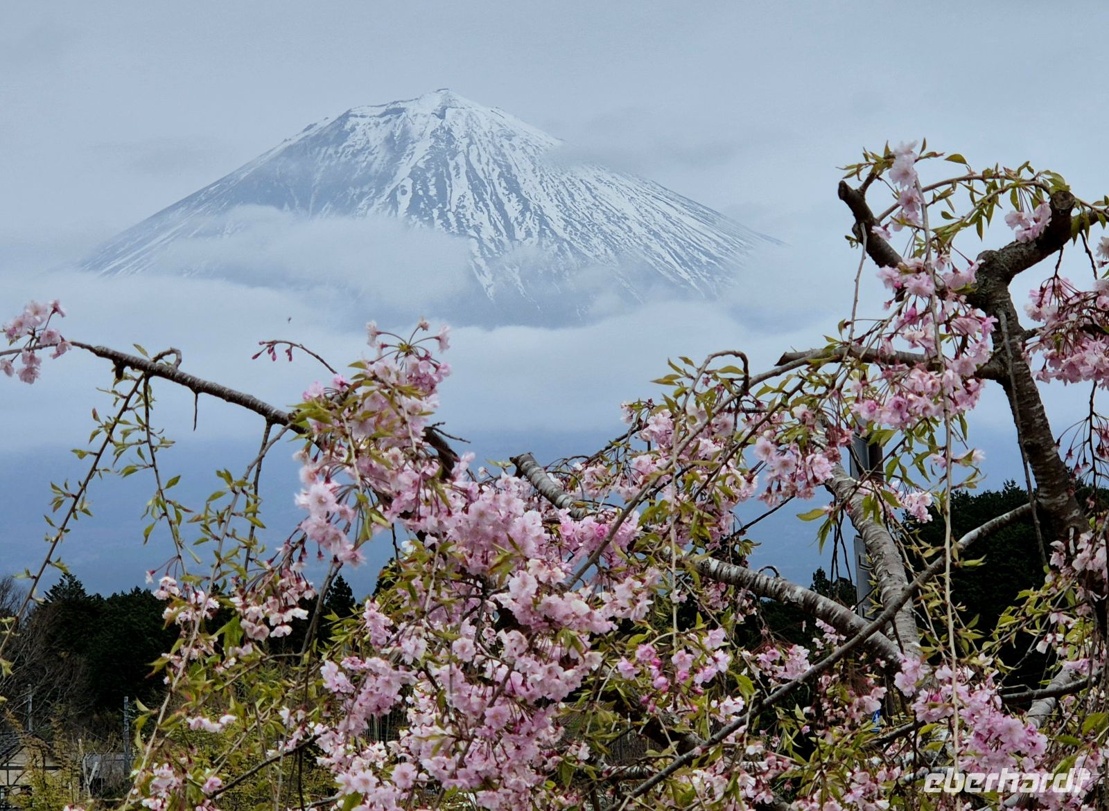 Mount Fuji &ndash; &copy;  (Eberhardt TRAVEL)