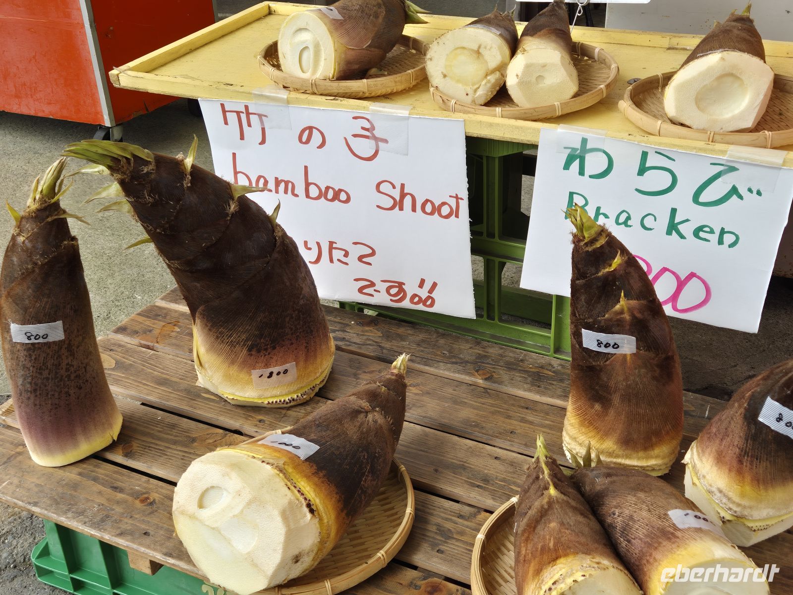 Bambus &ndash; &copy;  (Eberhardt TRAVEL)