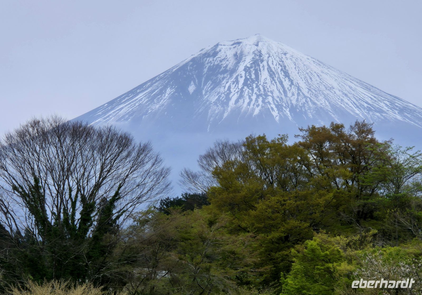Mount Fuji &ndash; &copy;  (Eberhardt TRAVEL)