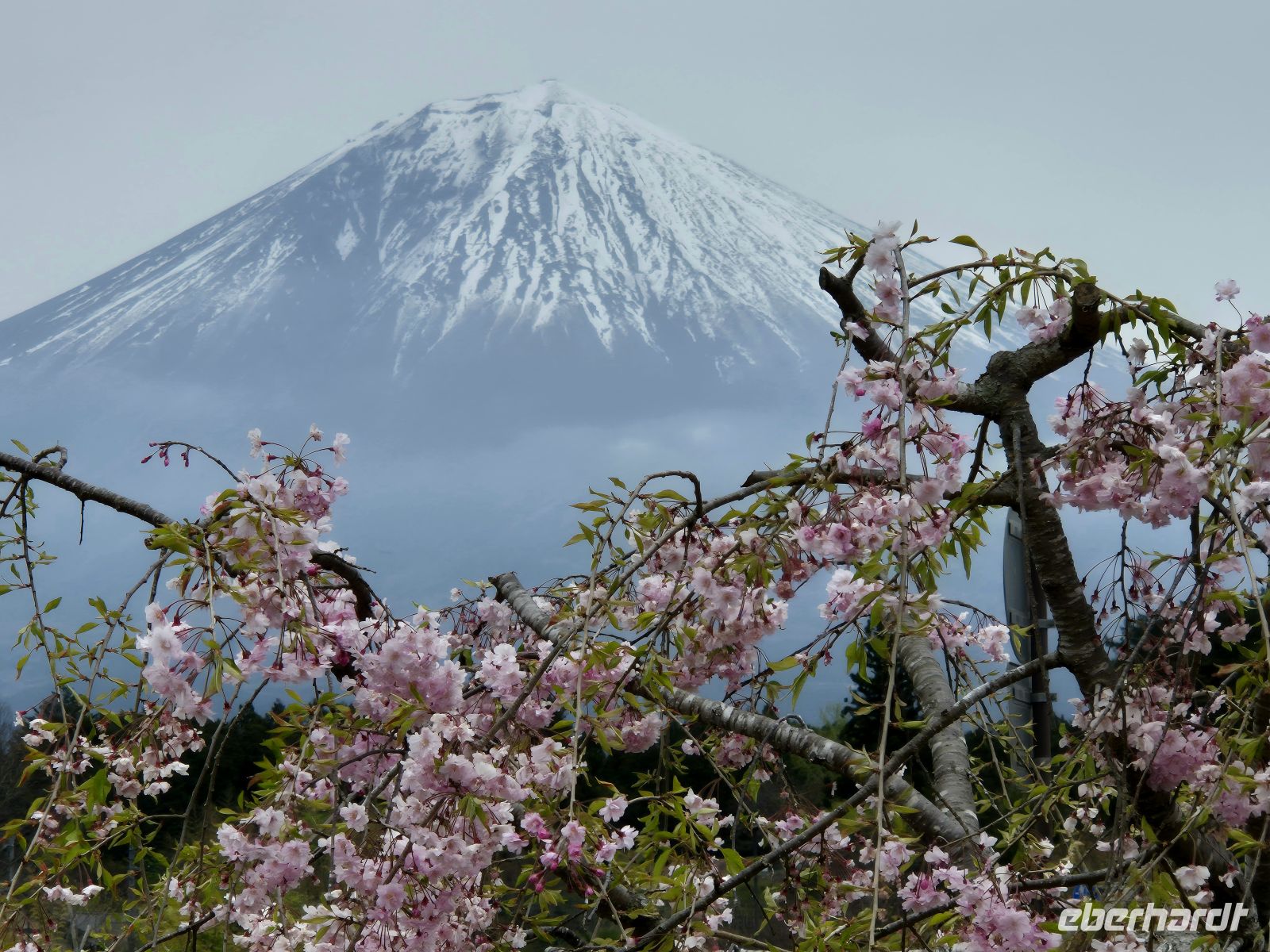 Mount Fuji &ndash; &copy;  (Eberhardt TRAVEL)