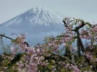 Mount Fuji &ndash; &copy; Frank Nimschowski (Eberhardt TRAVEL)