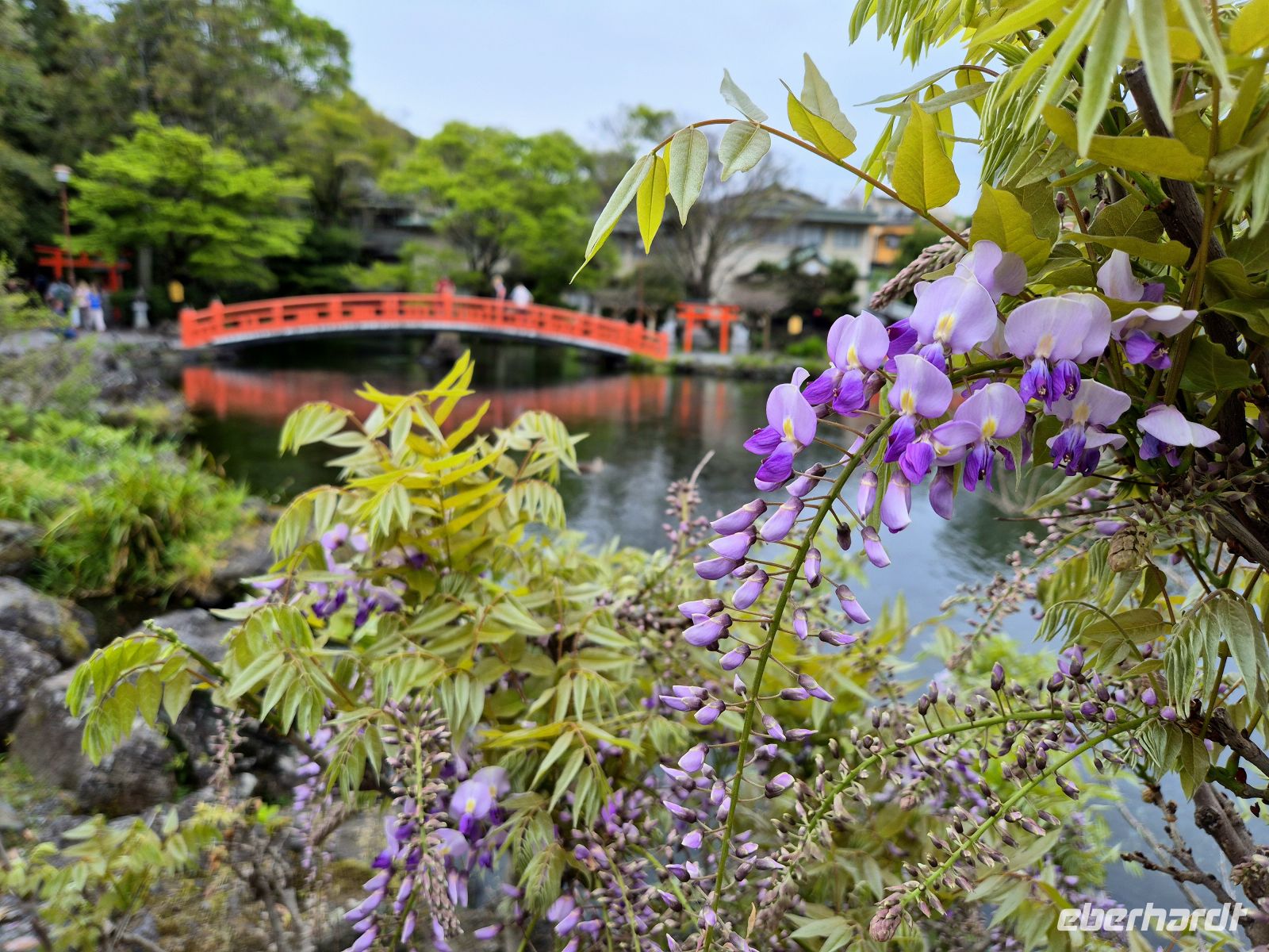 Fujisan Hongu Sengen Taisha Schrein &ndash; &copy;  (Eberhardt TRAVEL)