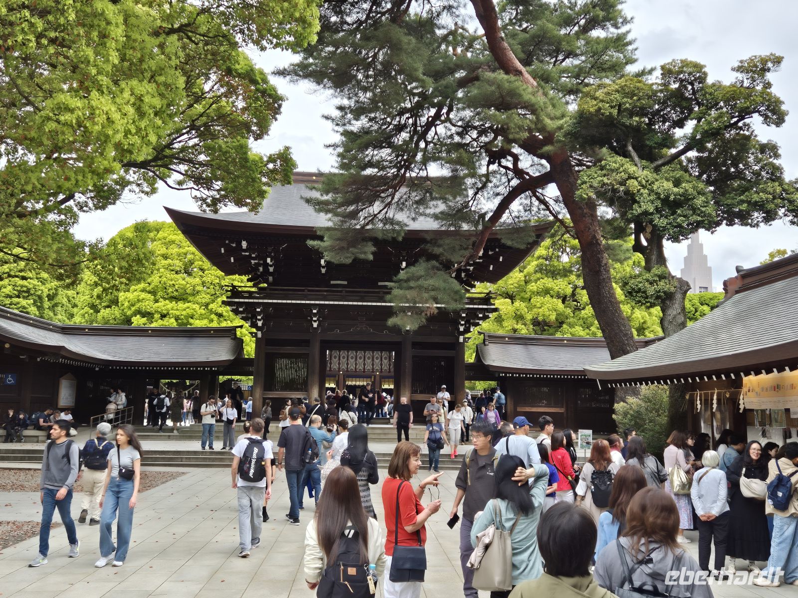 Tokio, Meji Schrein &ndash; &copy;  (Eberhardt TRAVEL)