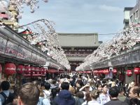 Tokio, Kannon-Tempel &ndash; &copy; Frank Nimschowski (Eberhardt TRAVEL)