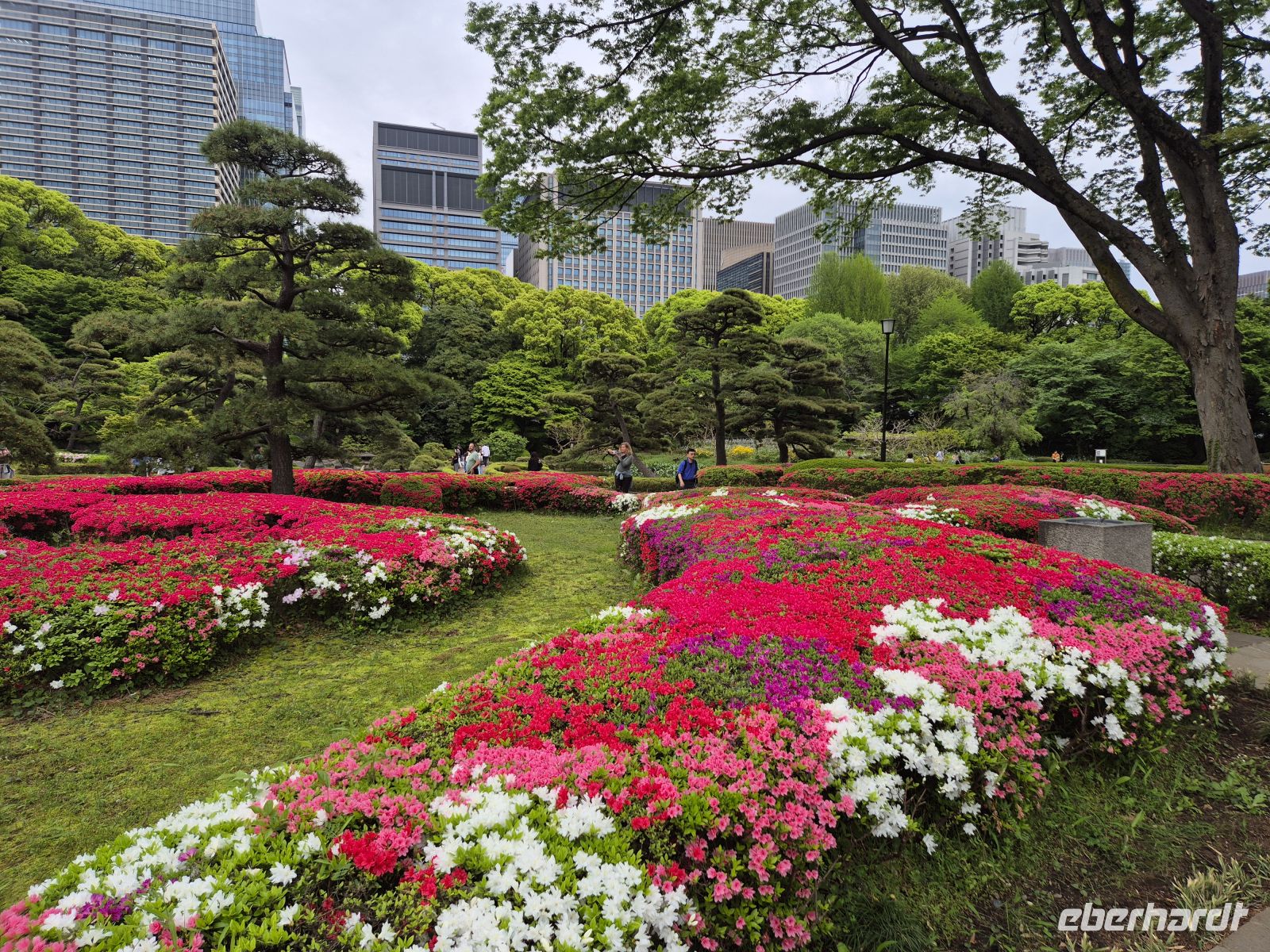 Tokio, kaiserlicher Garten &ndash; &copy;  (Eberhardt TRAVEL)