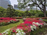 Tokio, kaiserlicher Garten &ndash; &copy; Frank Nimschowski (Eberhardt TRAVEL)