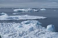 Eisberge und Eisschollen im Antarctic Sound