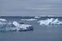 Eisberge und Eisschollen im Antarctic Sound