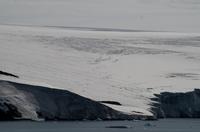 Eisberge und Eisschollen im Antarctic Sound