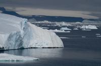 Eisberge und Eisschollen im Antarctic Sound