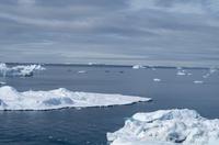 Eisberge und Eisschollen im Antarctic Sound