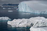 Eisberge und Eisschollen im Antarctic Sound
