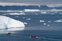 Eisberge und Eisschollen im Antarctic Sound