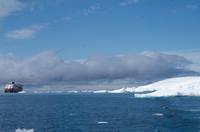 Eisberge und Eisschollen im Antarctic Sound