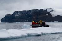 Eisberge und Eisschollen im Antarctic Sound