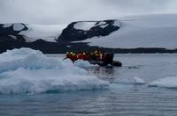Eisberge und Eisschollen im Antarctic Sound