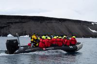Eisberge und Eisschollen im Antarctic Sound