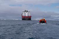 Eisberge und Eisschollen im Antarctic Sound