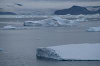 Eisberge und Eisschollen im Antarctic Sound