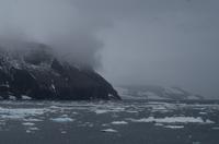 Bucht von Brown Bluff