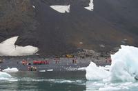 Bucht von Brown Bluff