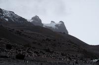 Bucht von Brown Bluff