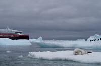 Bucht von Brown Bluff