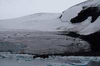 Bucht von Brown Bluff